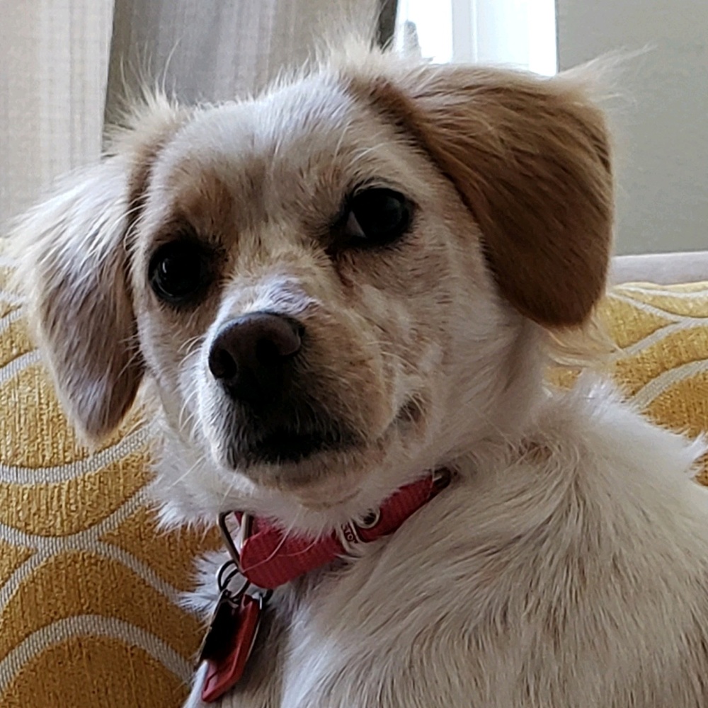 Meet your Posher, Lo